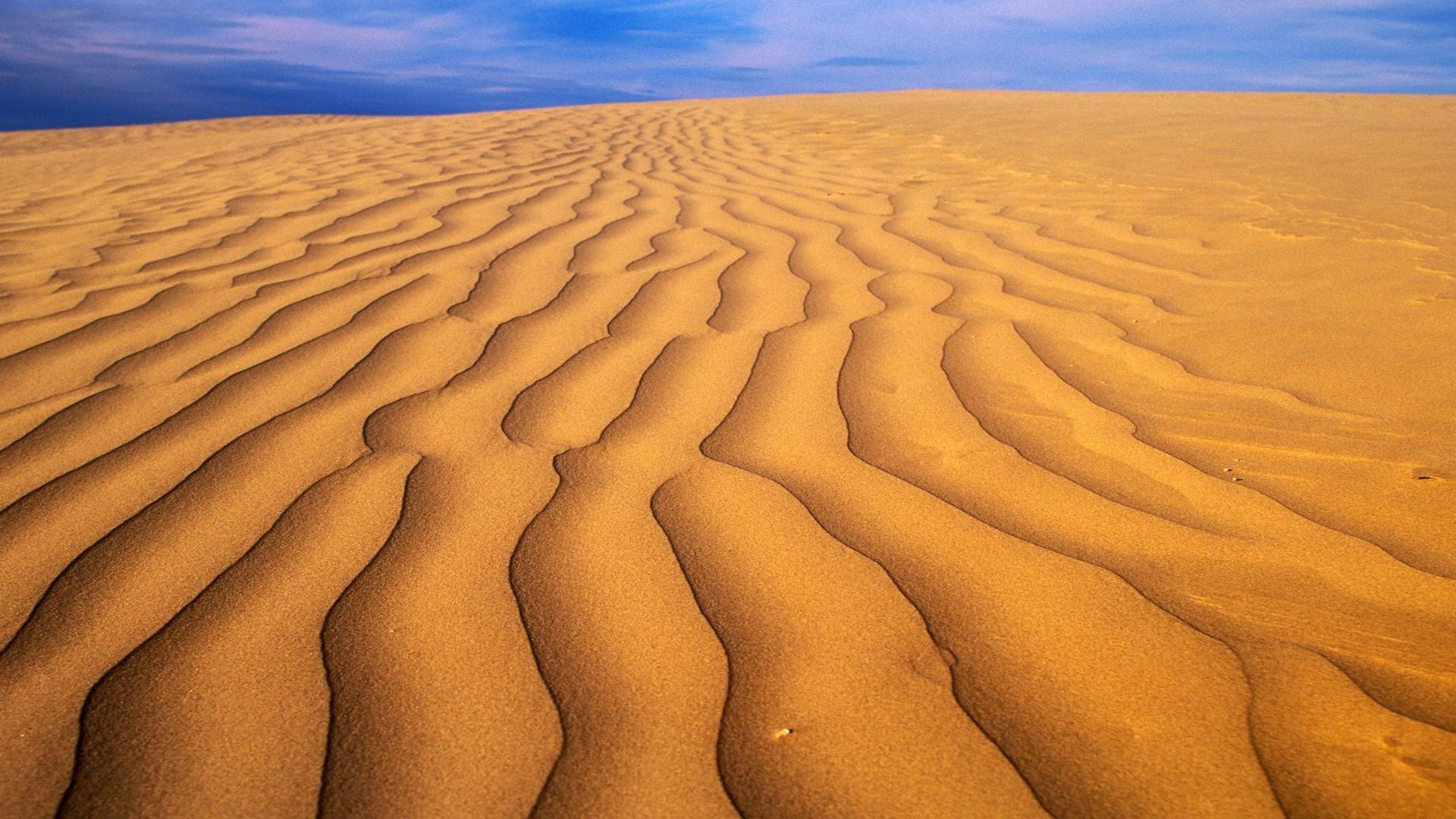 Great sandhills saskatchewan Canada sand dune free desktop