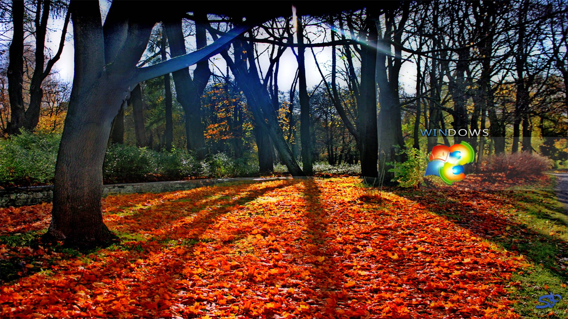 Wallpaper for Windows 8. Genovic