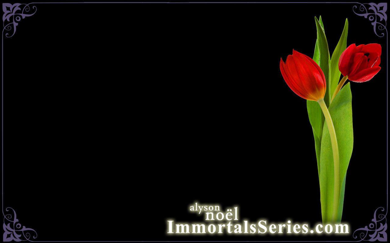The Immortal series Wallpaper Immortals Series Wallpaper