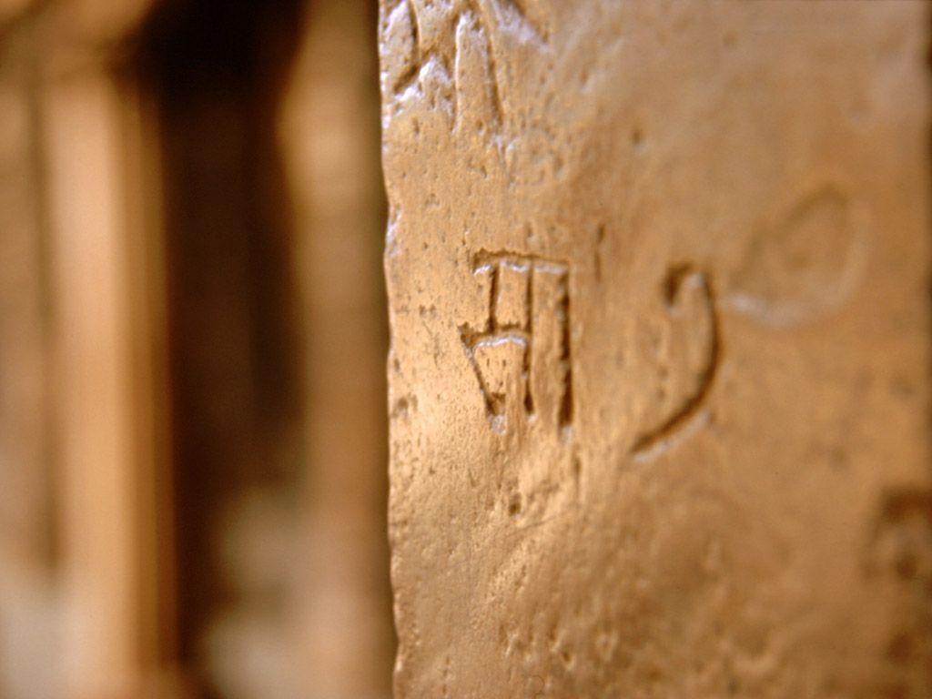 Sanskrits.(līdzība ar Latviešu valodu)