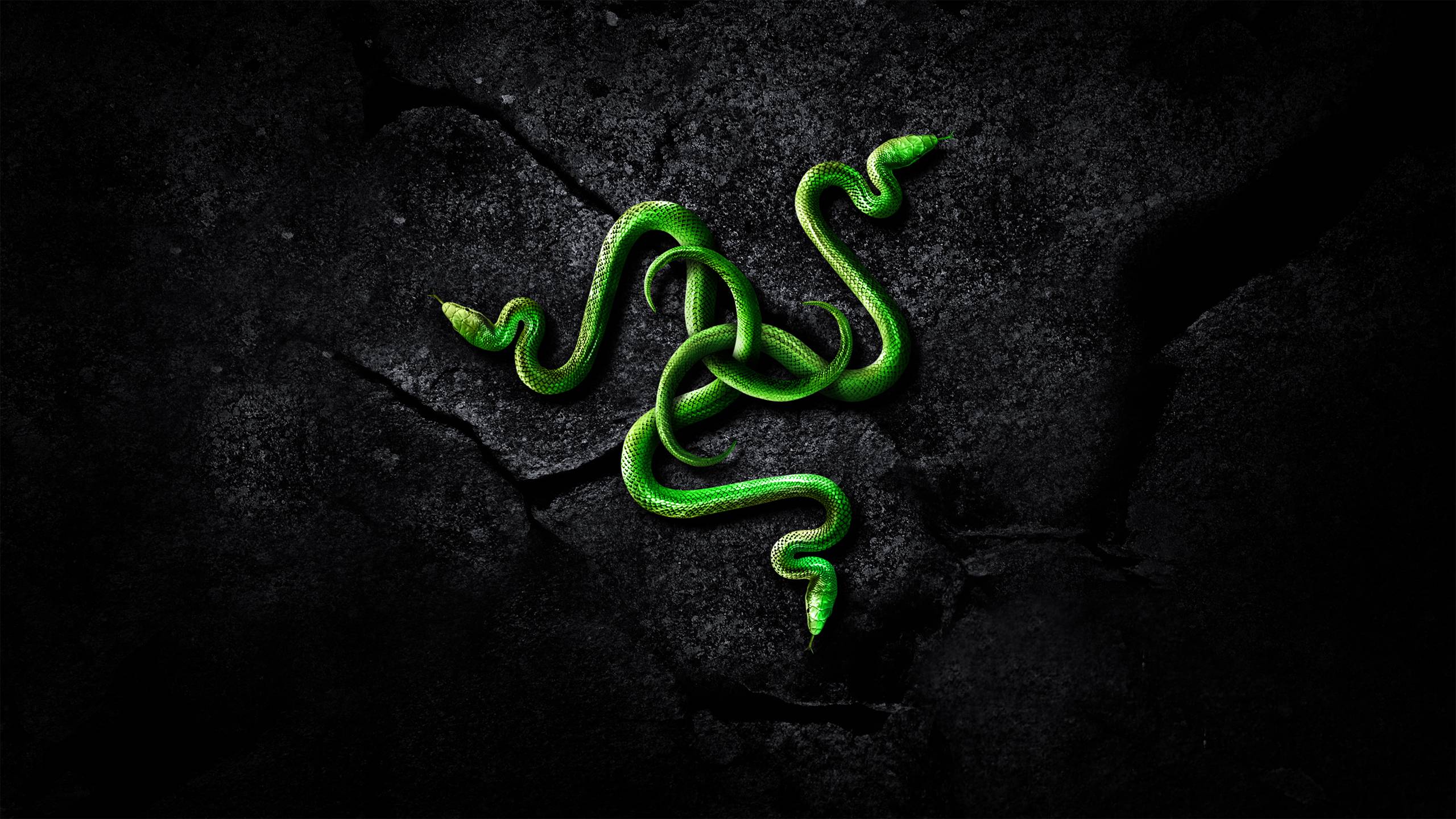 Pin Your Razer Logo Pagesoqgt Bluepost Desktop Background Gaming 1