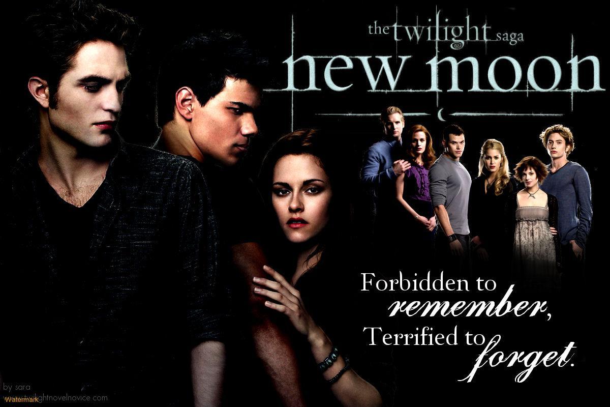 Moon Twilight Wallpaper Film Desktop Art Funny Monsite