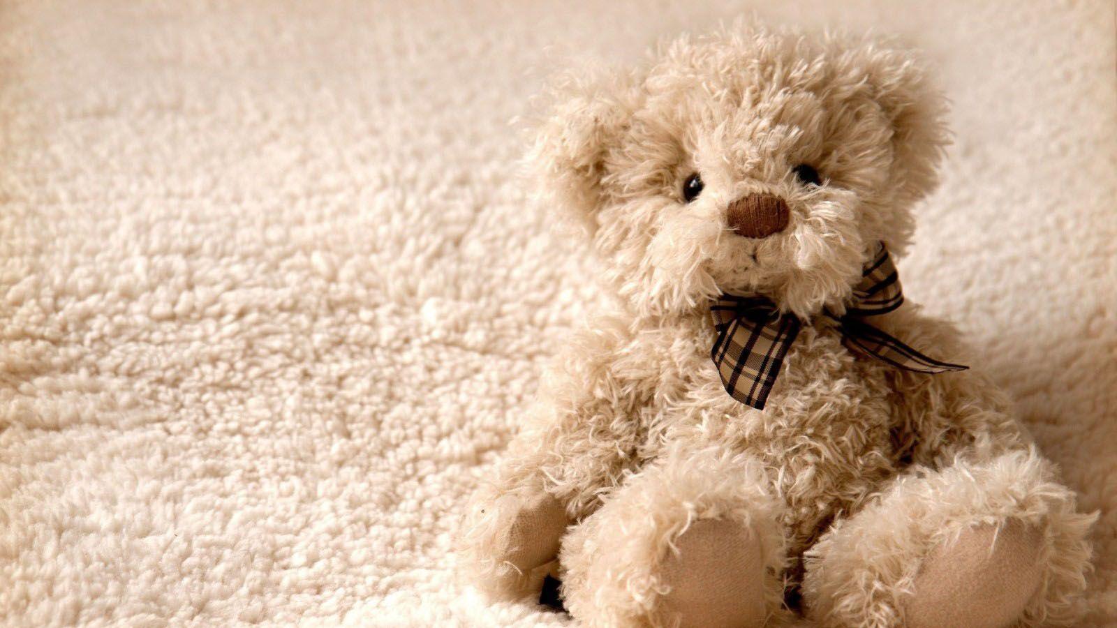 Cute, teddy bear, nice, hd, wallpaper, free HD Wallpaper