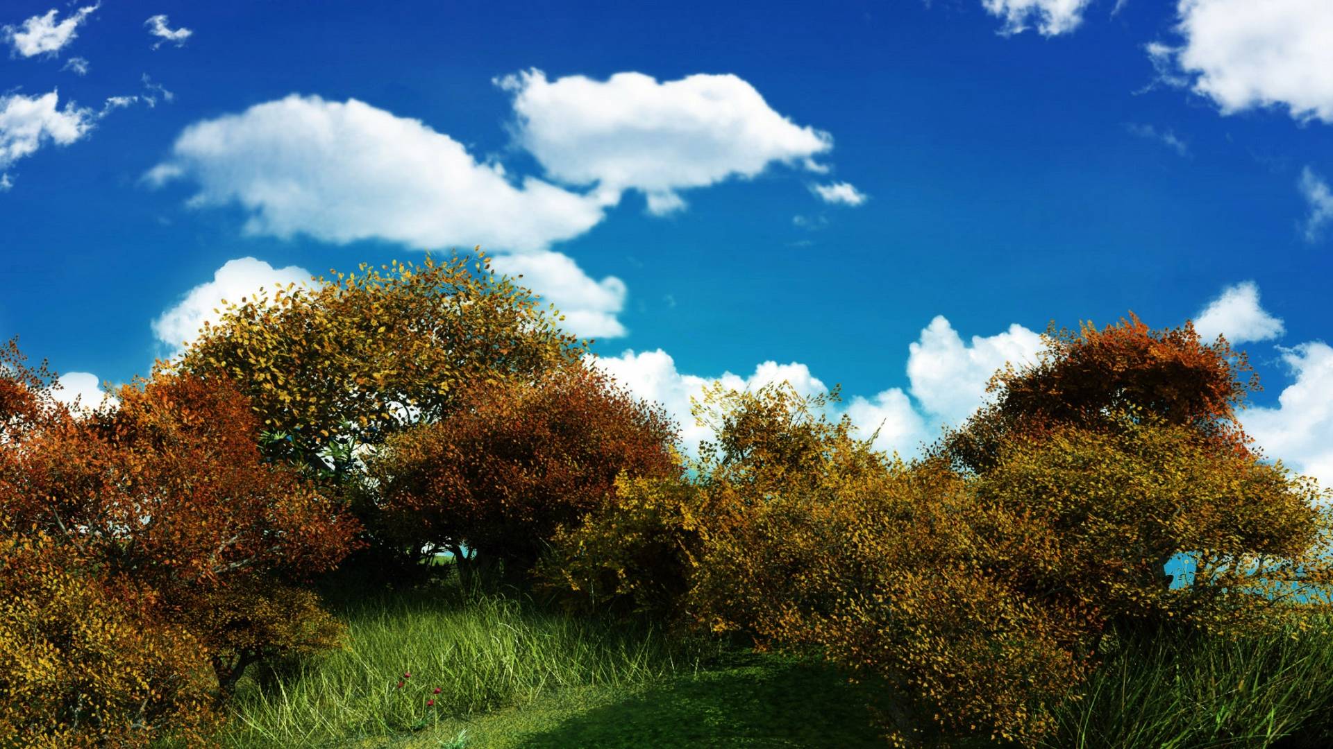 Beautiful Wallpaper. Download HD Wallpaper