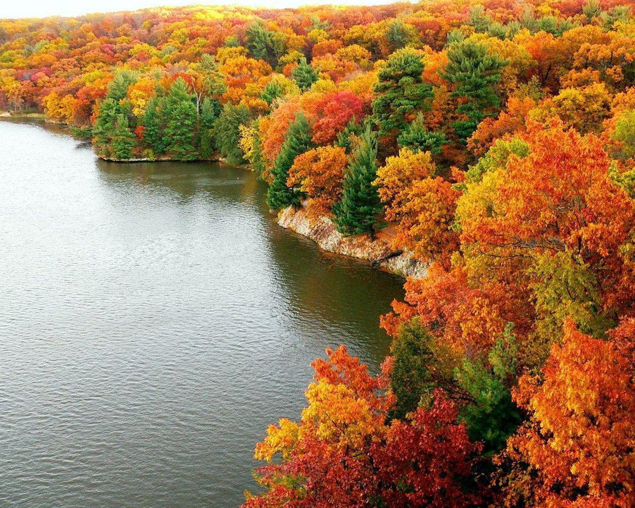 Free Amazing Colorful Autumn Scenery wallpaper Wallpaper