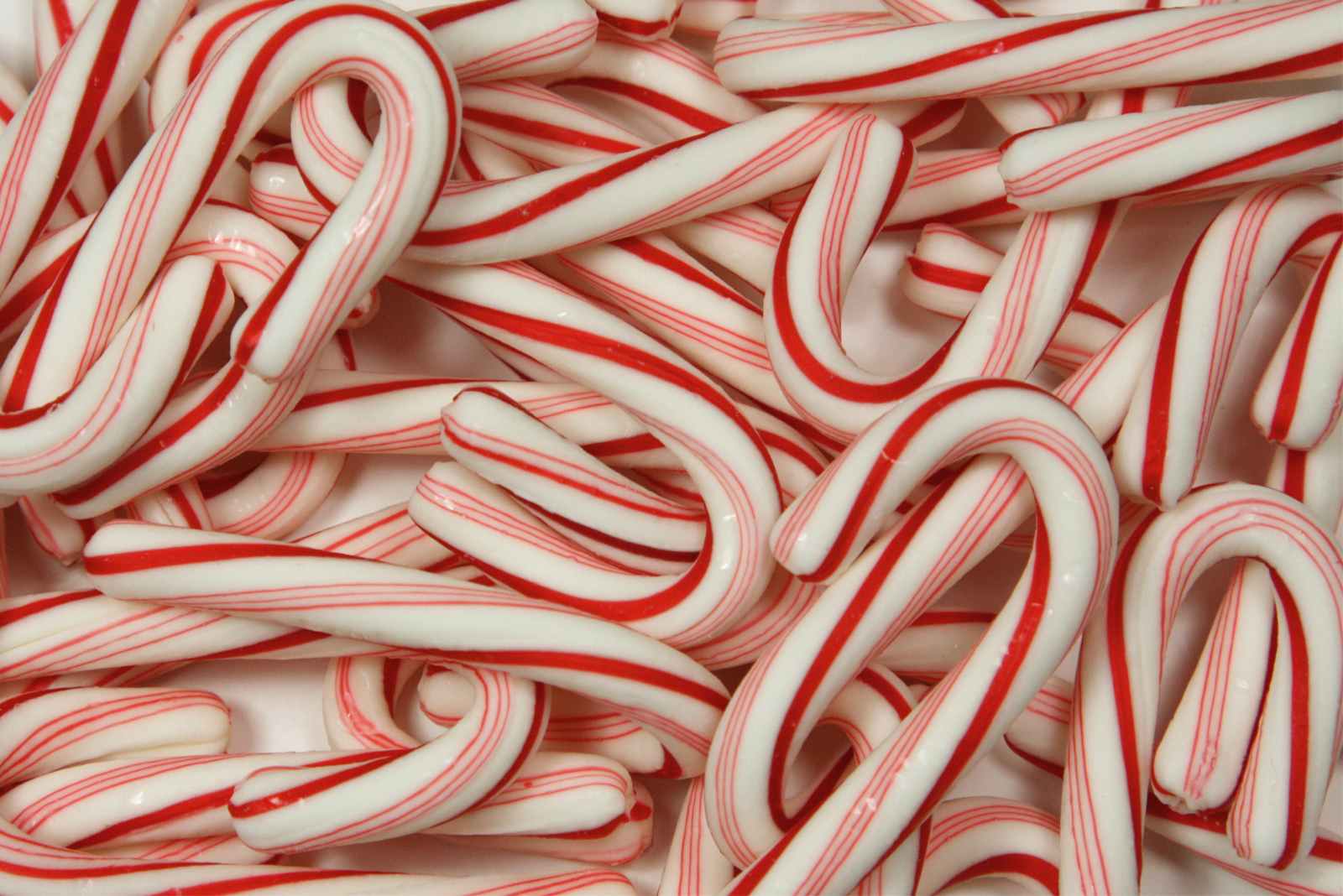 Candy Canes Wallpapers HD Free Wallpapers