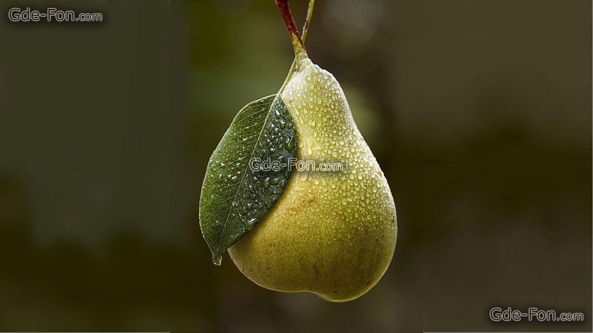 Pear Wallpapers - Wallpaper Cave