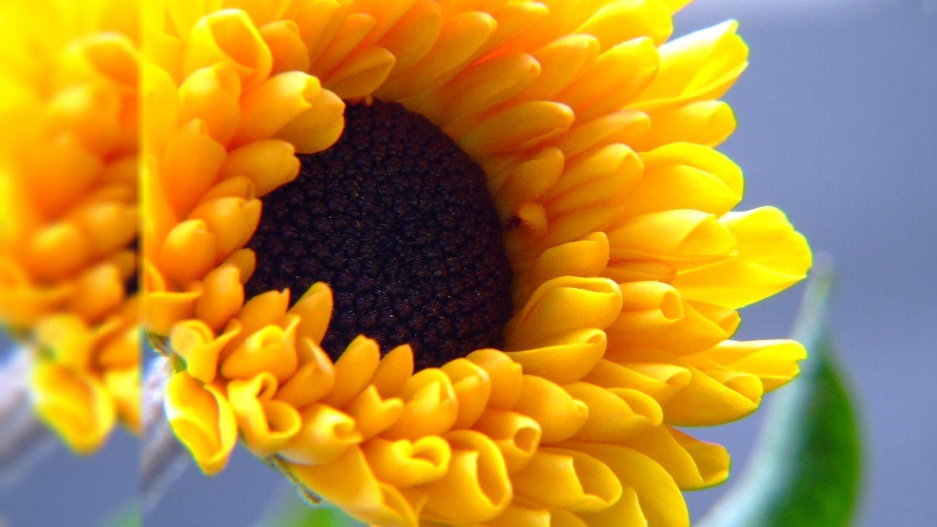 Underwater Wallpaper