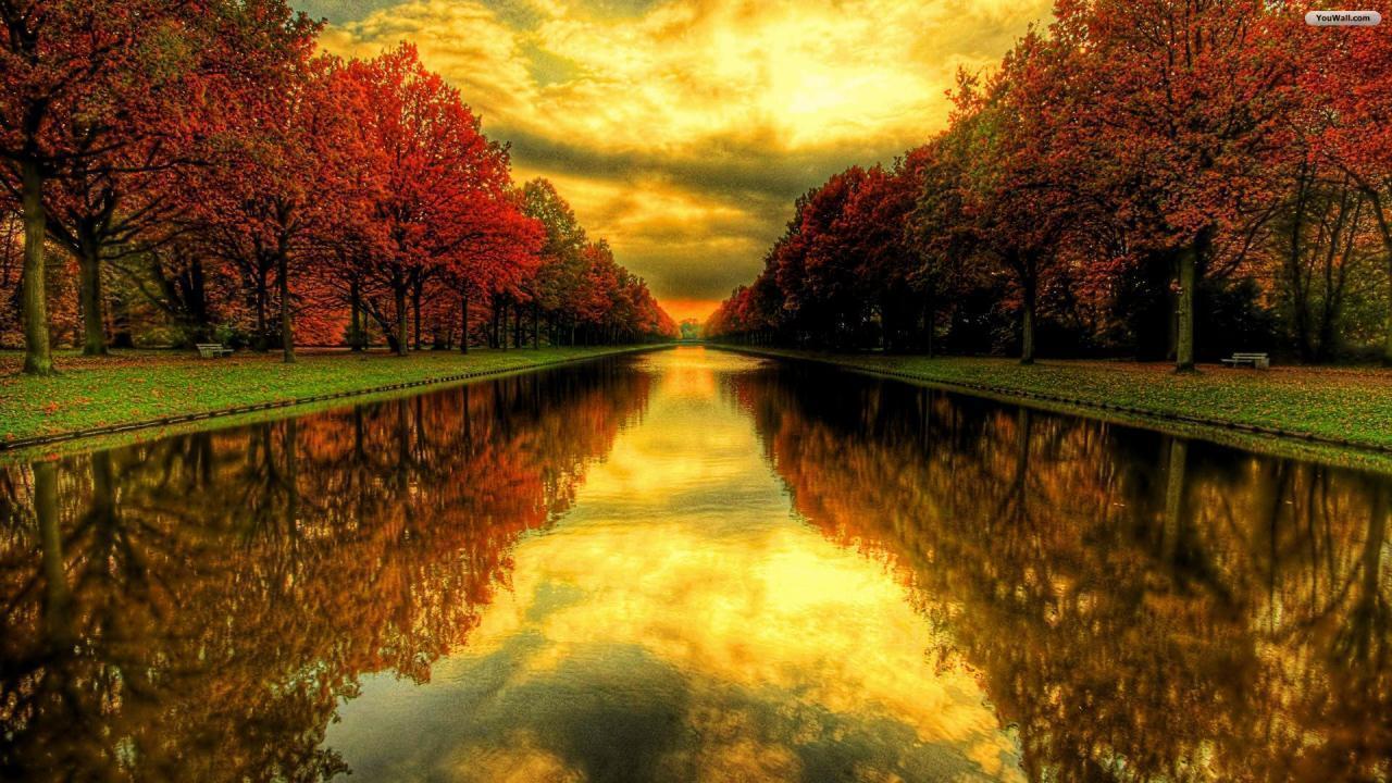 Fall Maple Leaves Wallpaper