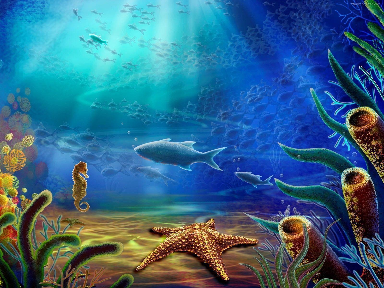 Under Water 3D View wallpapers HD full hd for Mobile, Desktop