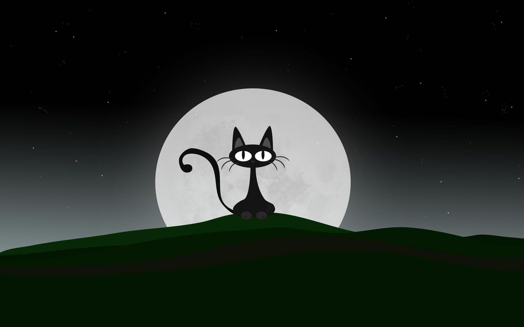 Wallpaper For > Funny Cartoon Cat Background