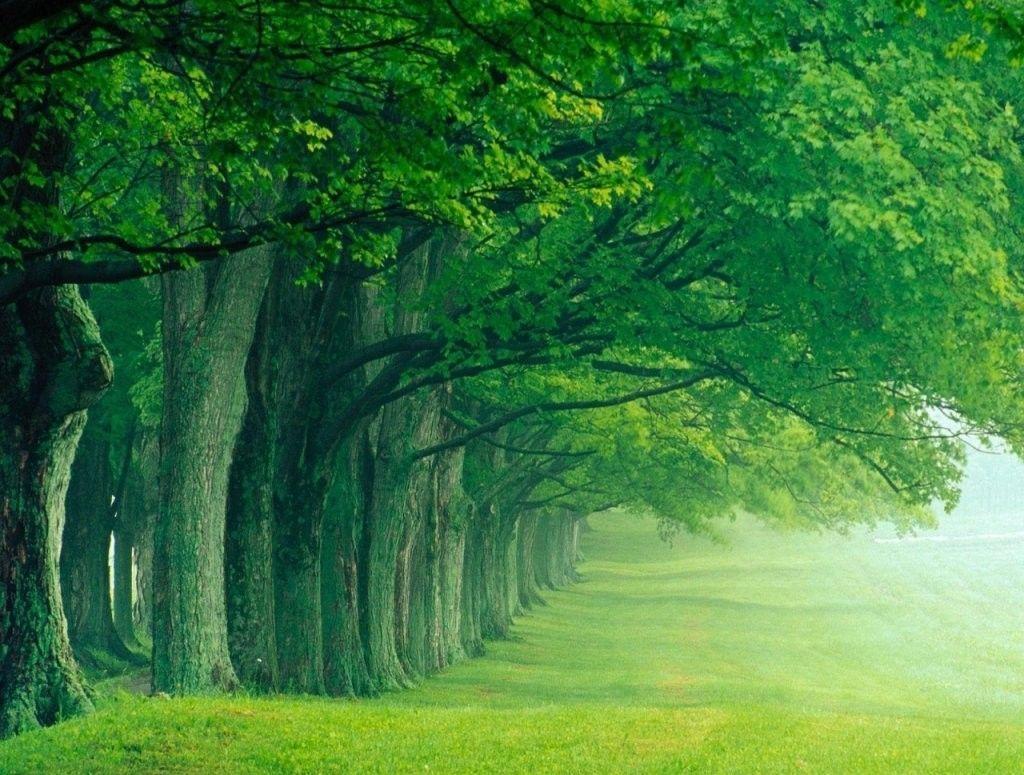 Natural Desktop Wallpaper Online. Amazing