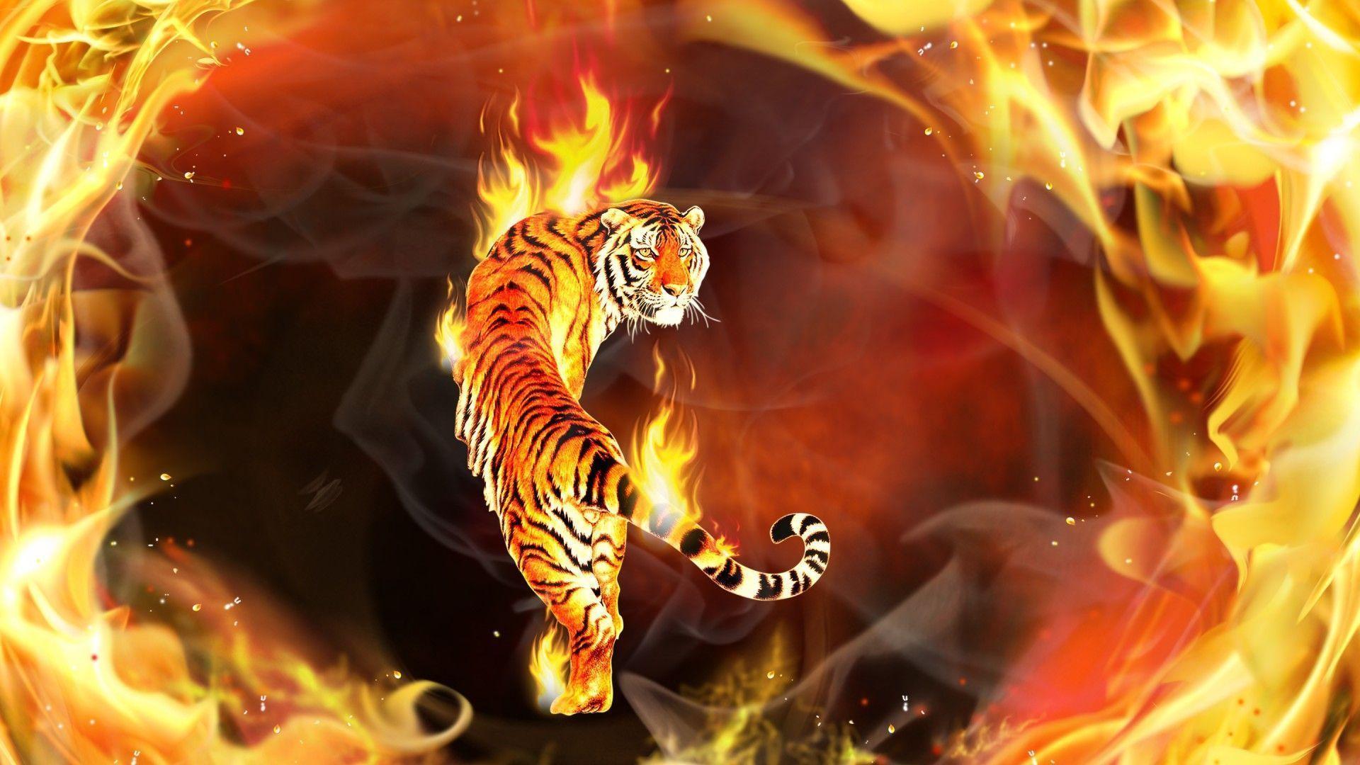 Tiger Pics for Desktop. Free Desk Wallpaper
