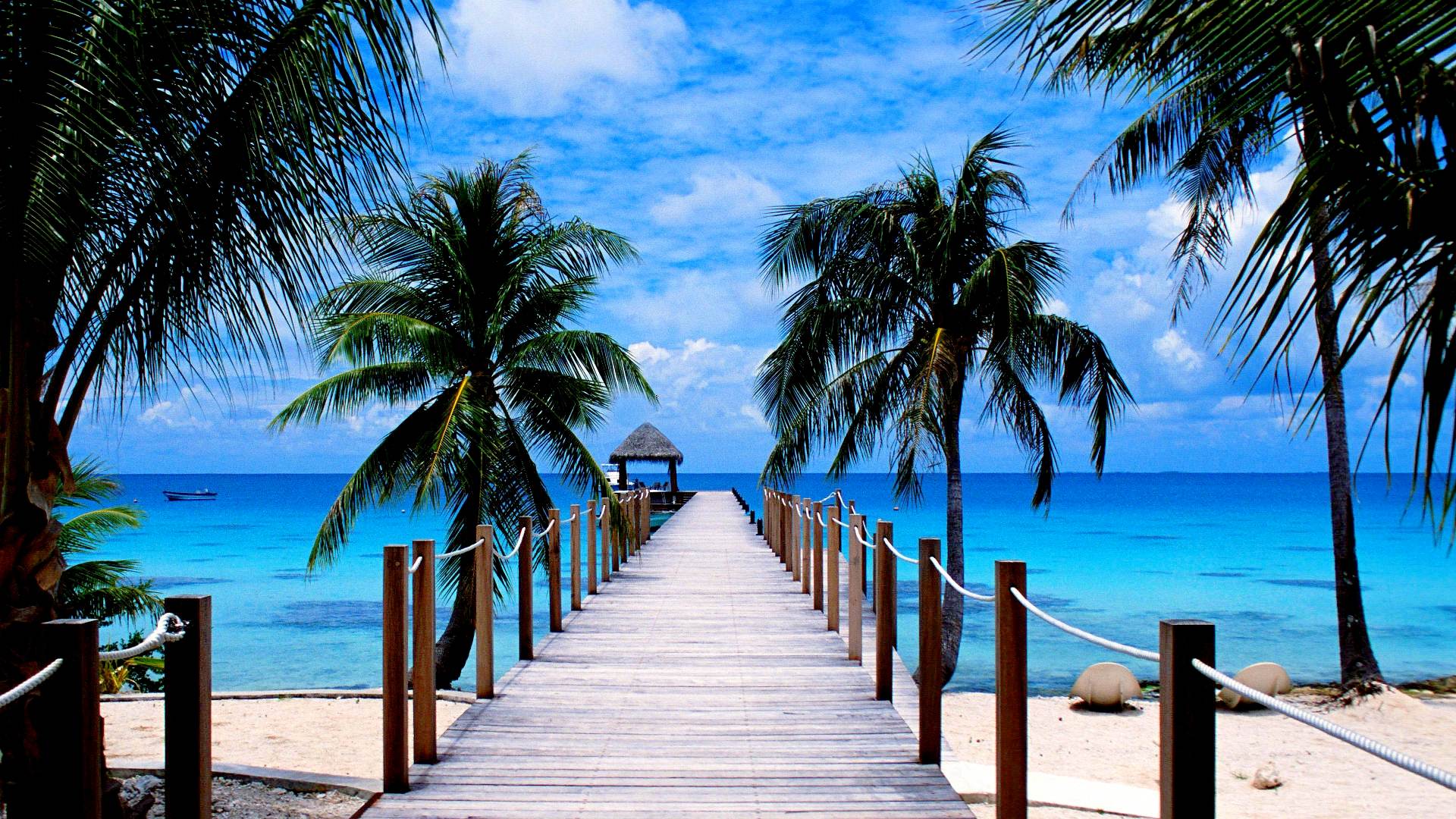 Summer Beach Backgrounds Wallpaper Cave