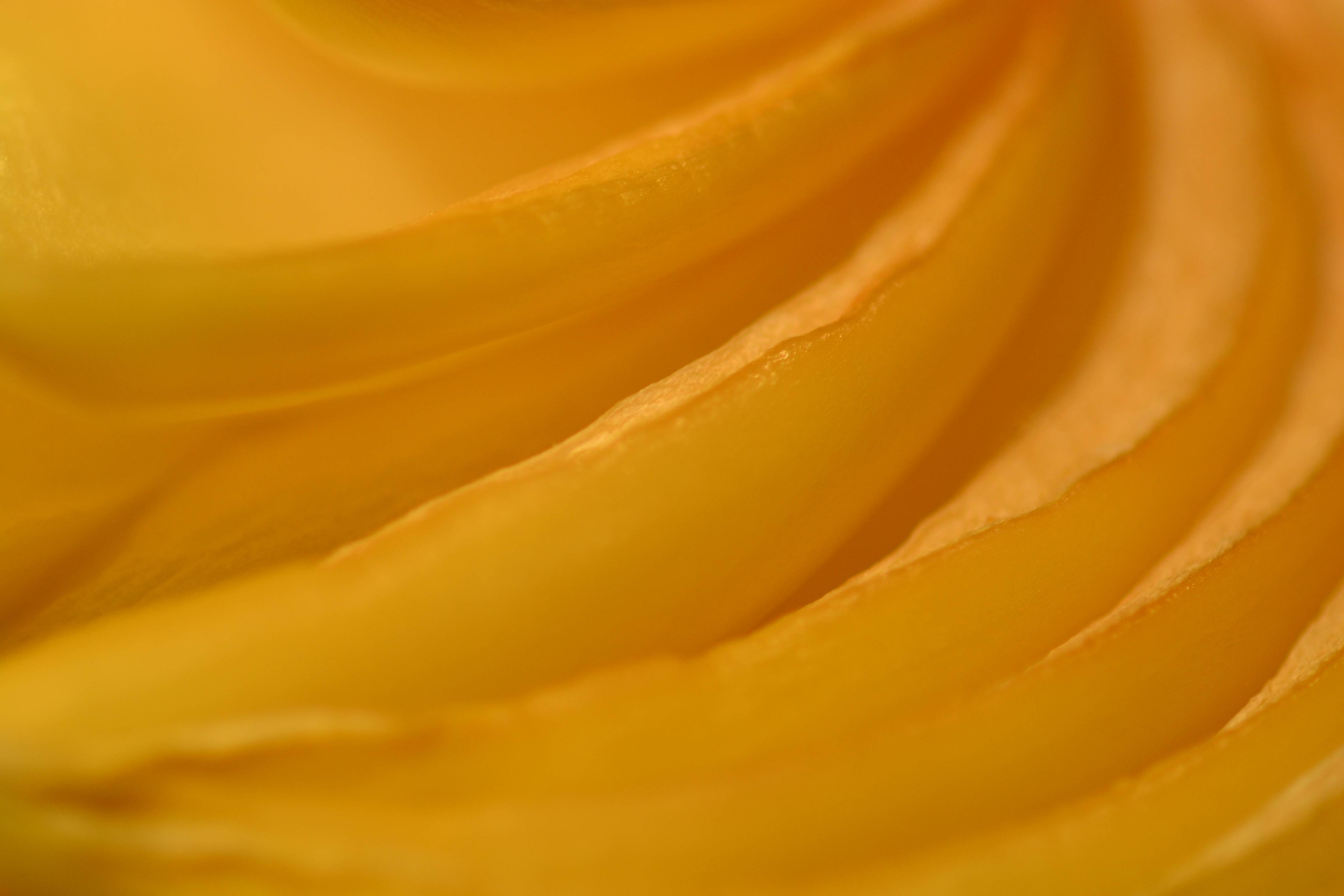 F19 Artwork Submissions Supplemental Wallpaper