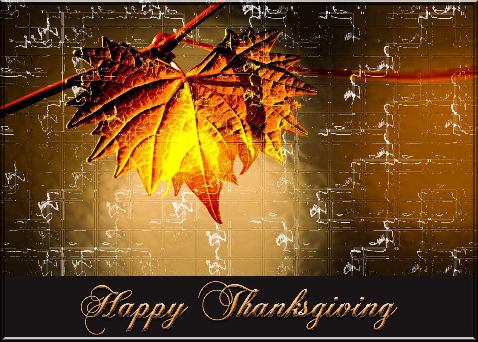 Happy Thanksgiving Leaves Wallpaper HD Wallpaper
