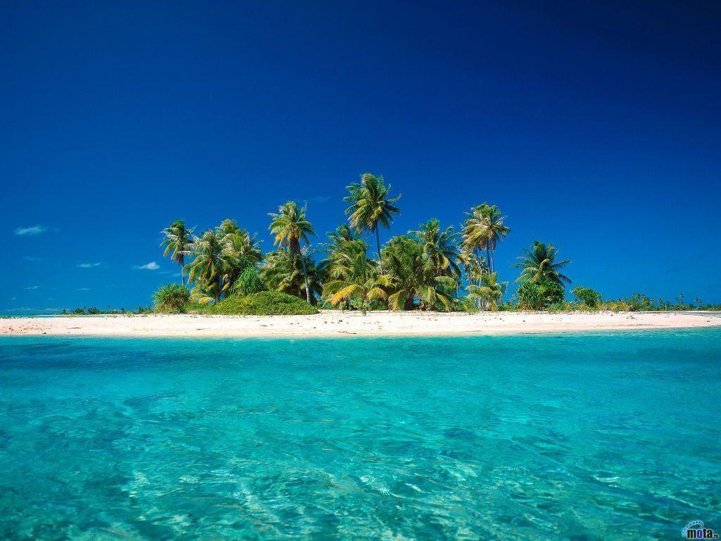 Tropical Island Wallpaper