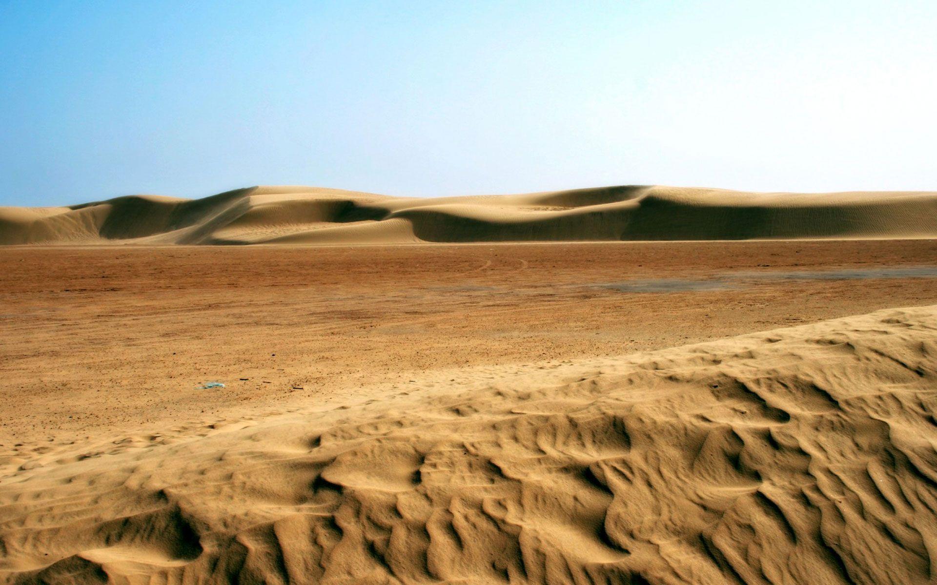 Free Wallpaper Dunes In Desert wallpaper