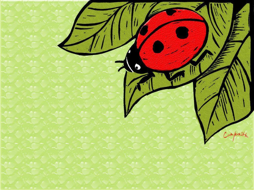 Ladybug cartoon wallpaper Wallpaper Wallpaper 7764