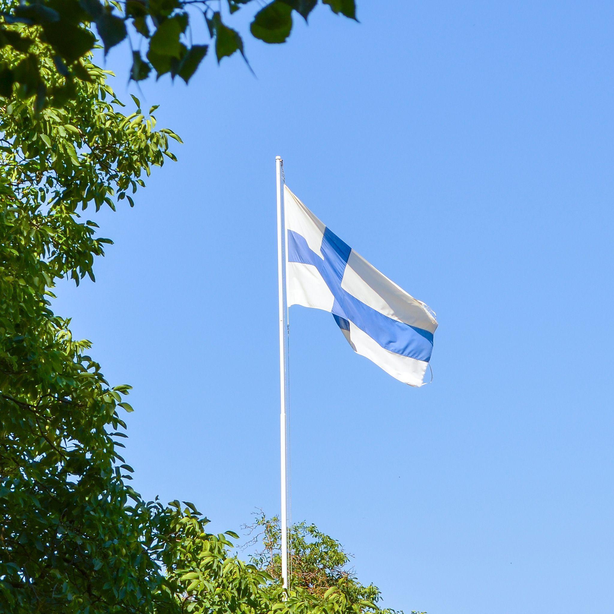 Finnish Flag