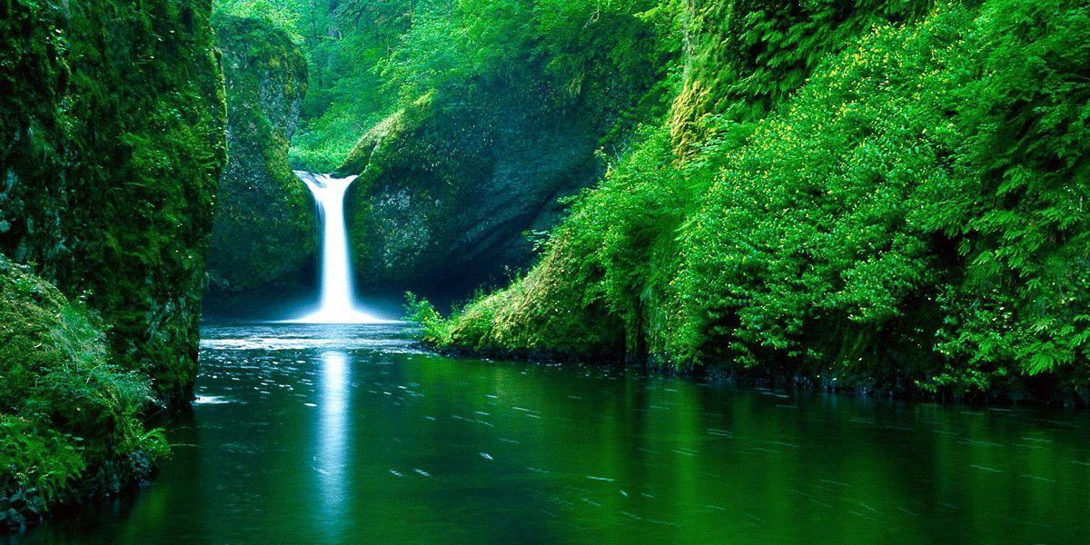 Wonderful Green Forest And Waterfall HD Wallpaper