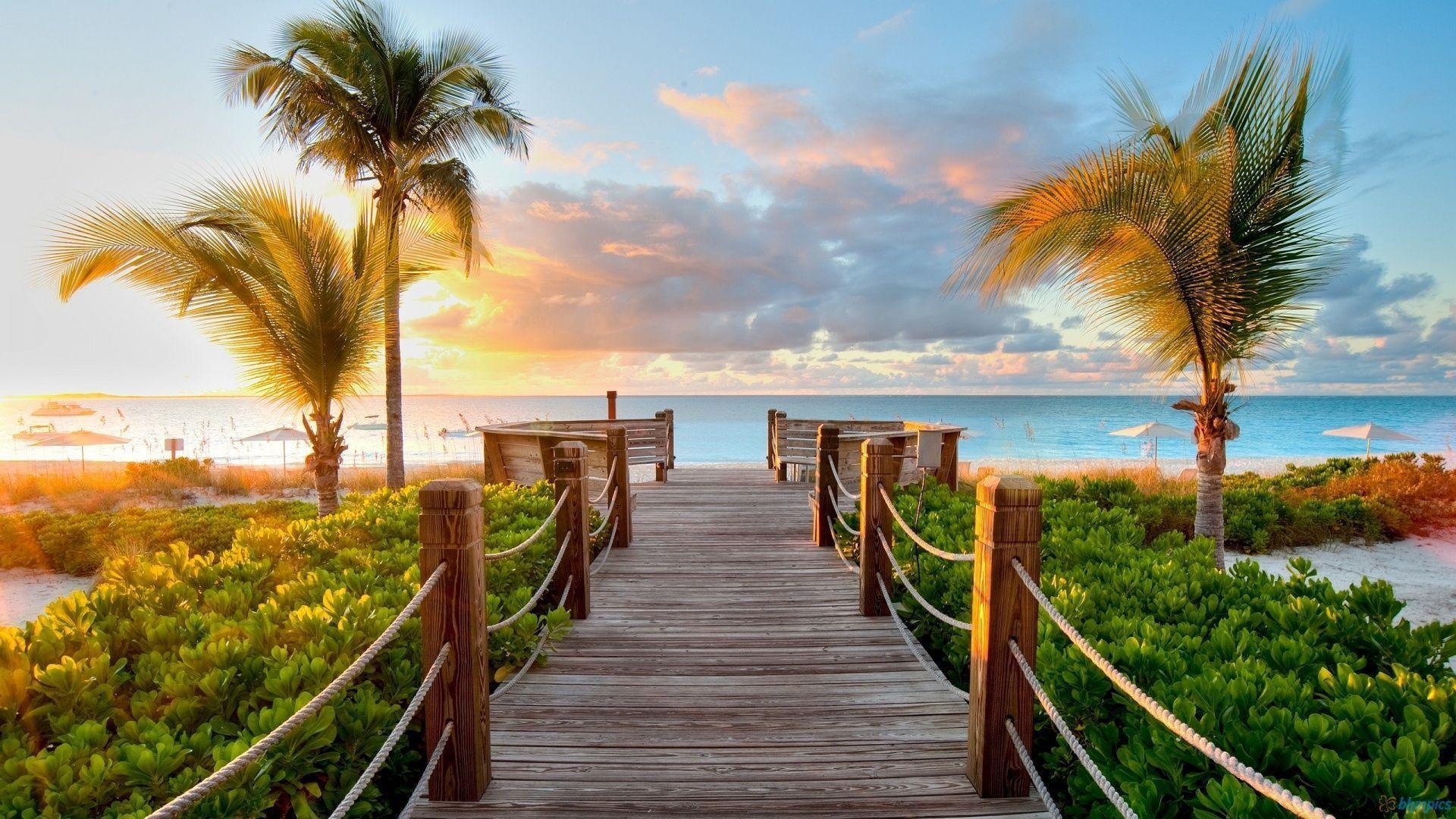 HD Wooden Pier To Caribbean Beach Wallpaper