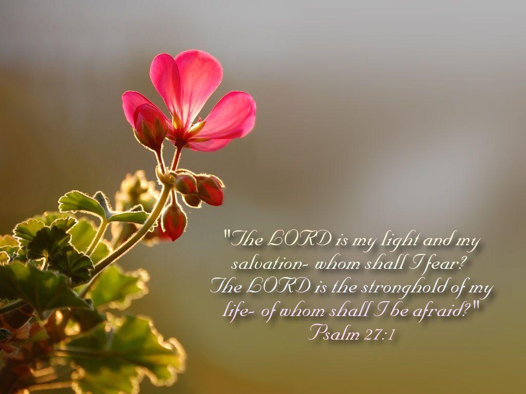 Bible Verse Wallpaper and Background