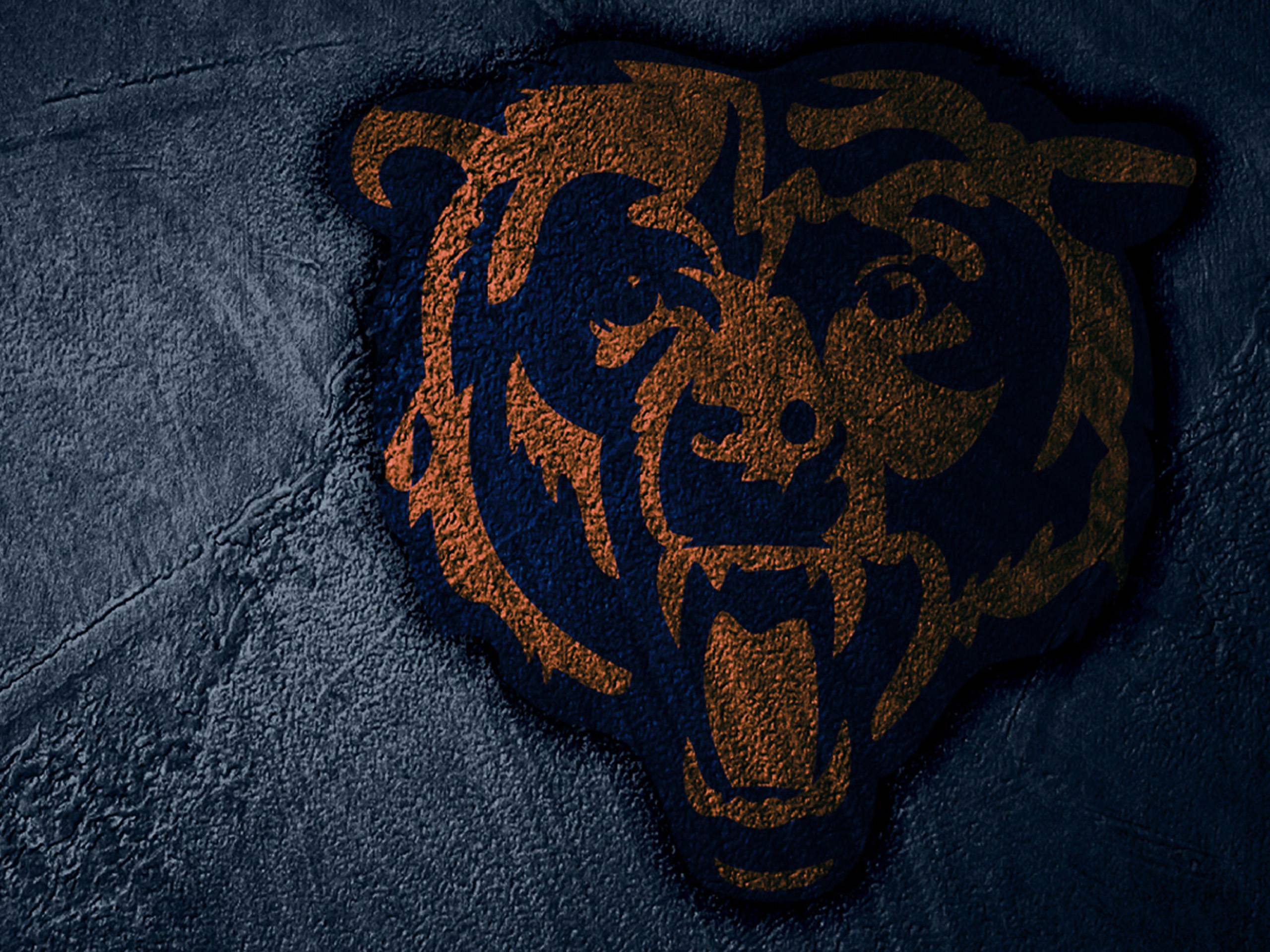 Chicago Bears Wallpapers 2015 - Wallpaper Cave