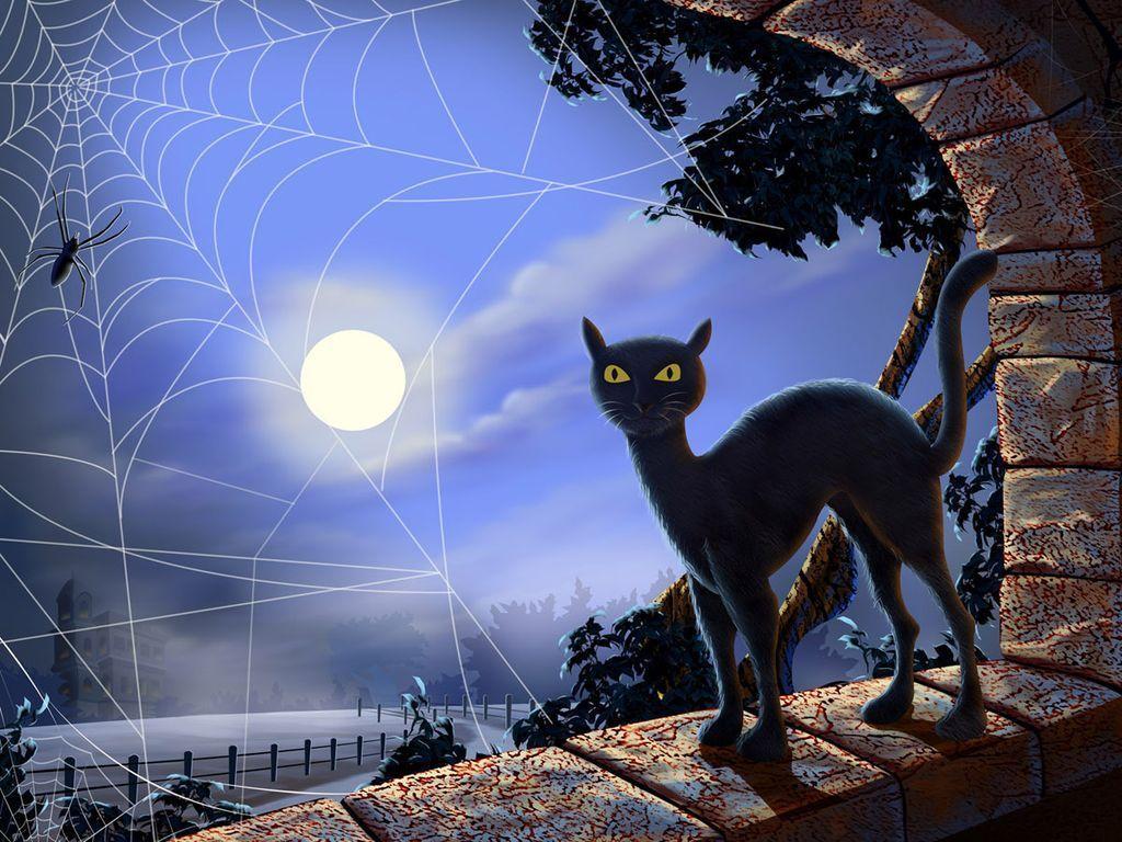HD Wallpaper: 1024x768 Halloween halloween black cat HD