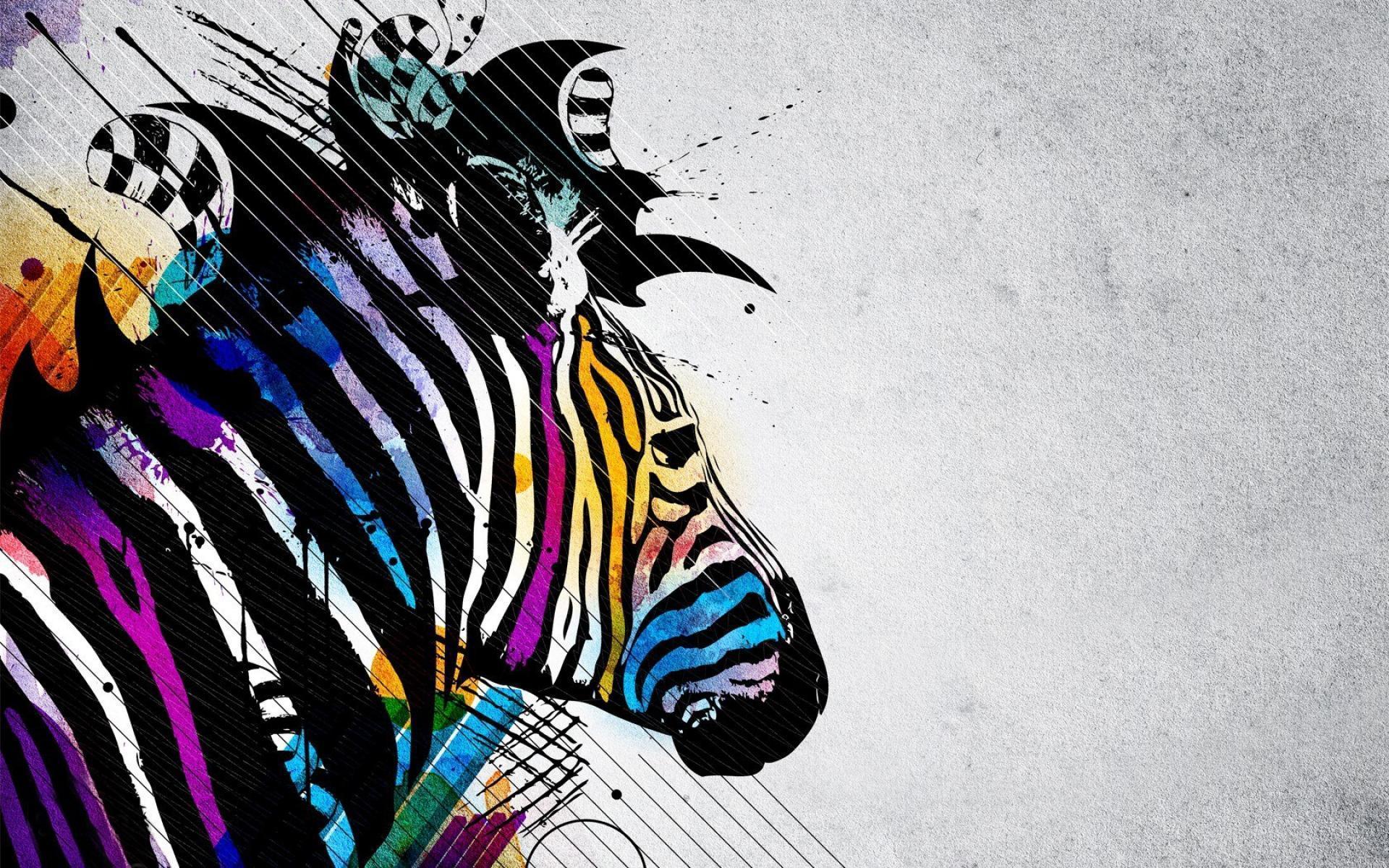  Zebra  Desktop Wallpapers  Wallpaper  Cave