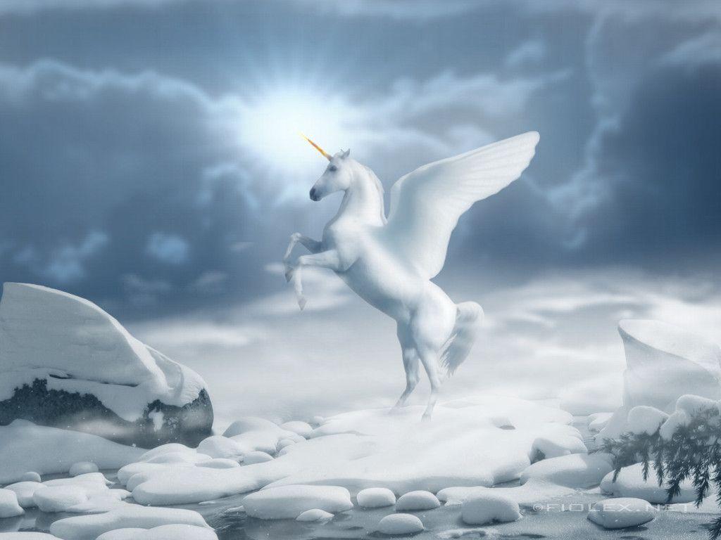 White Horse Wallpaper 8. Image And Wallpaper