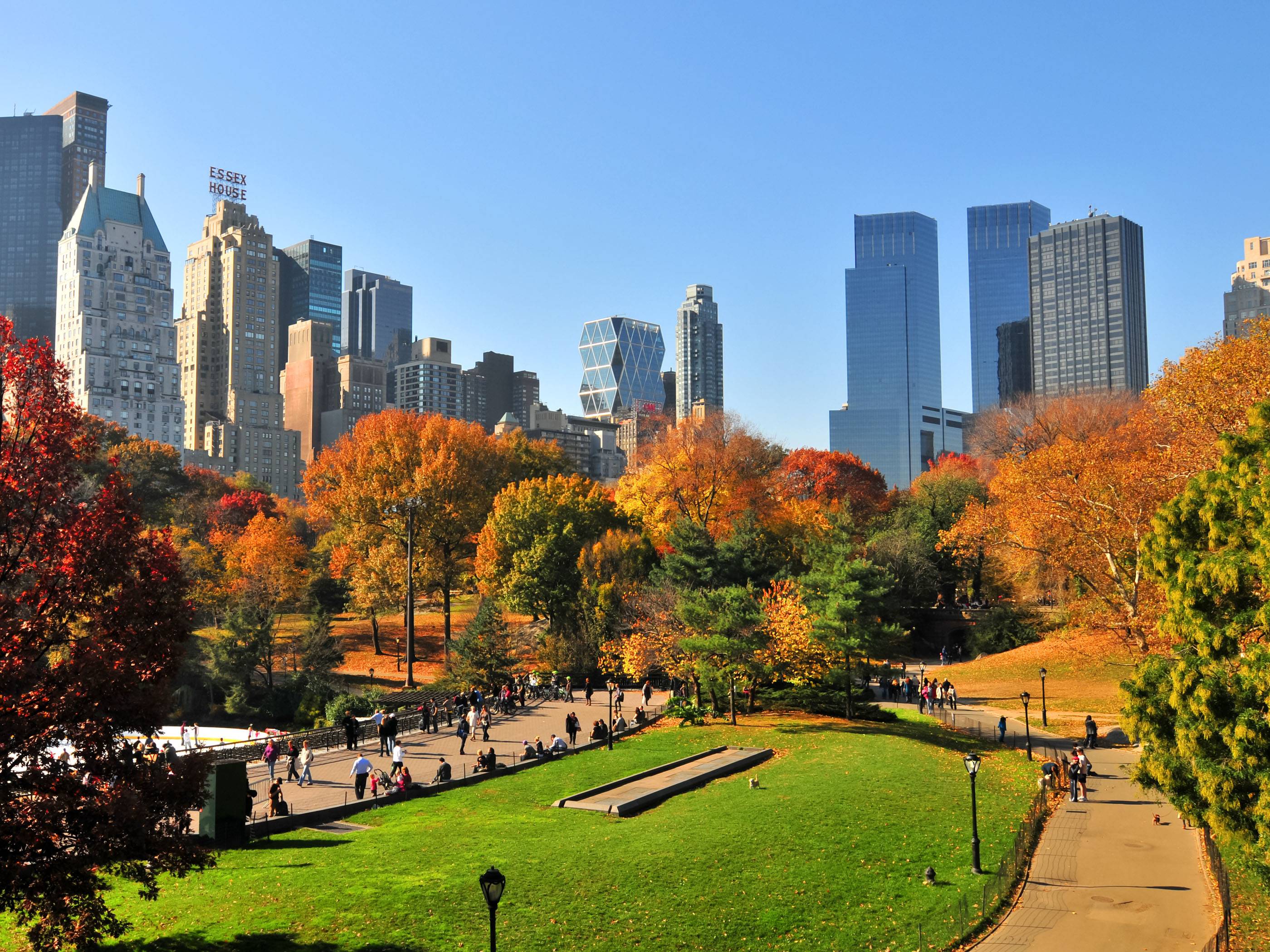 Central Park In Nyc During Autumn