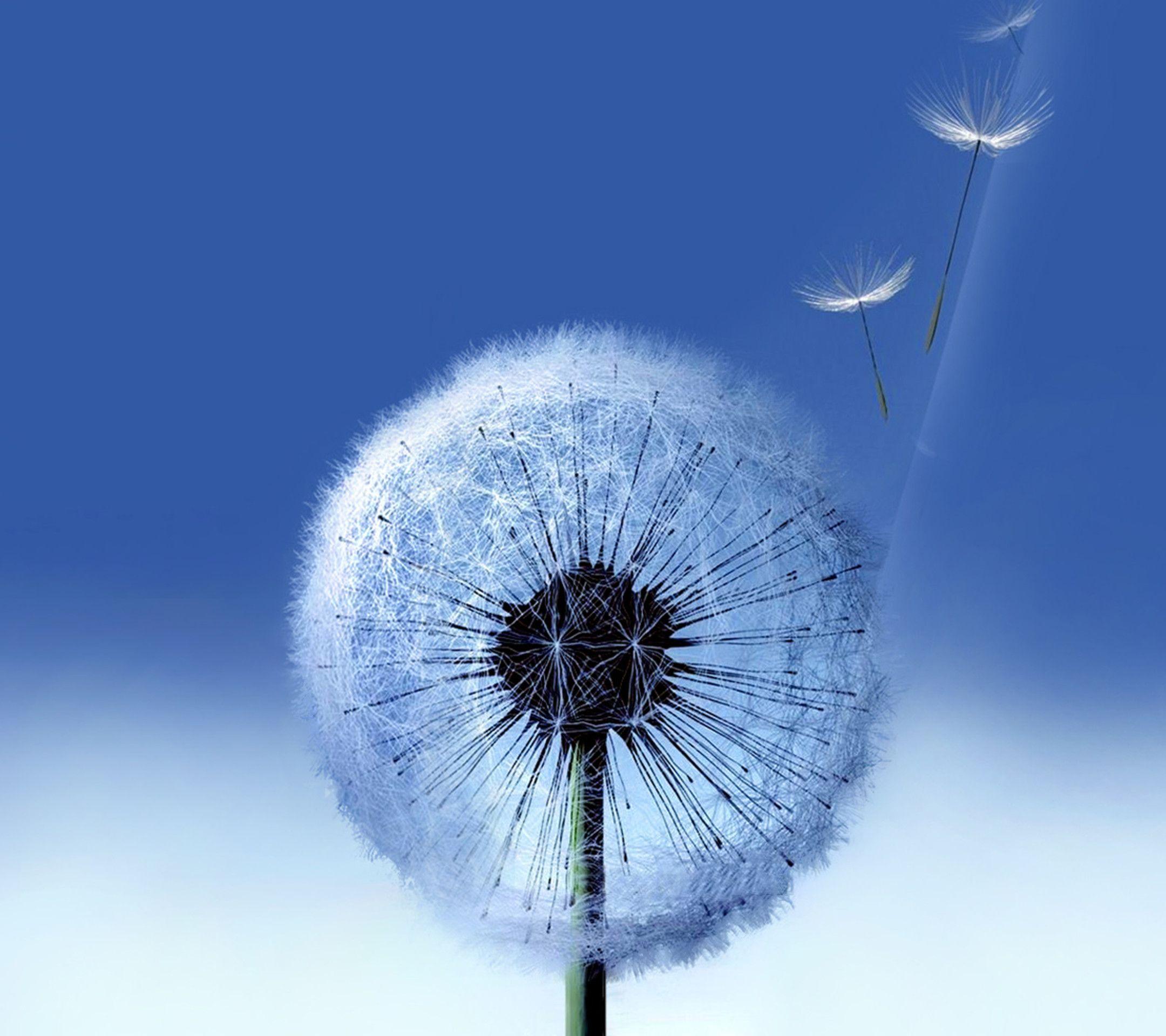 Galaxy S3 Space Wallpaper 59564 Wallpaper. wallpicsize