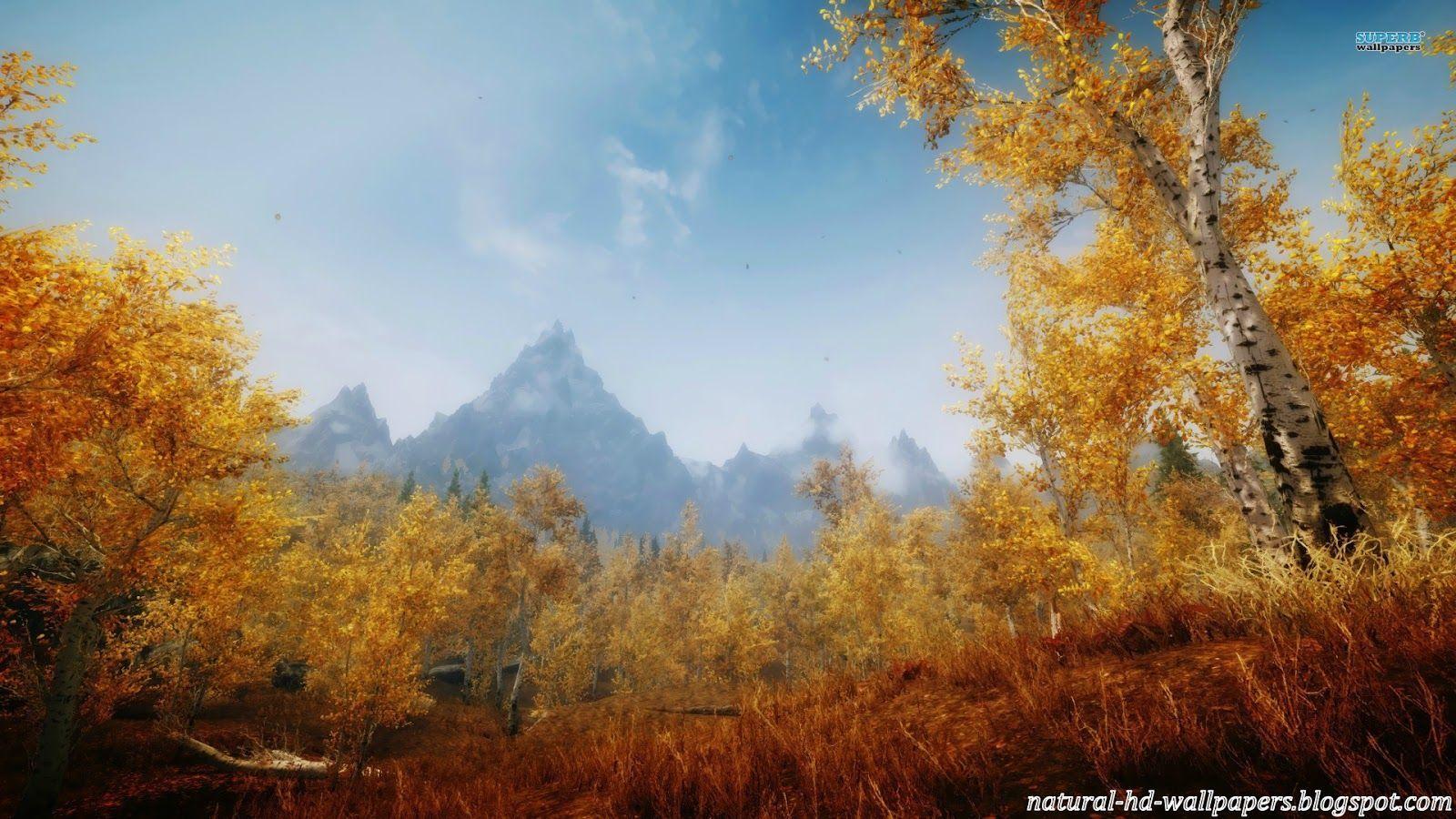 New Nature Beautiful HD Desktop Wallpaper. High Resolution