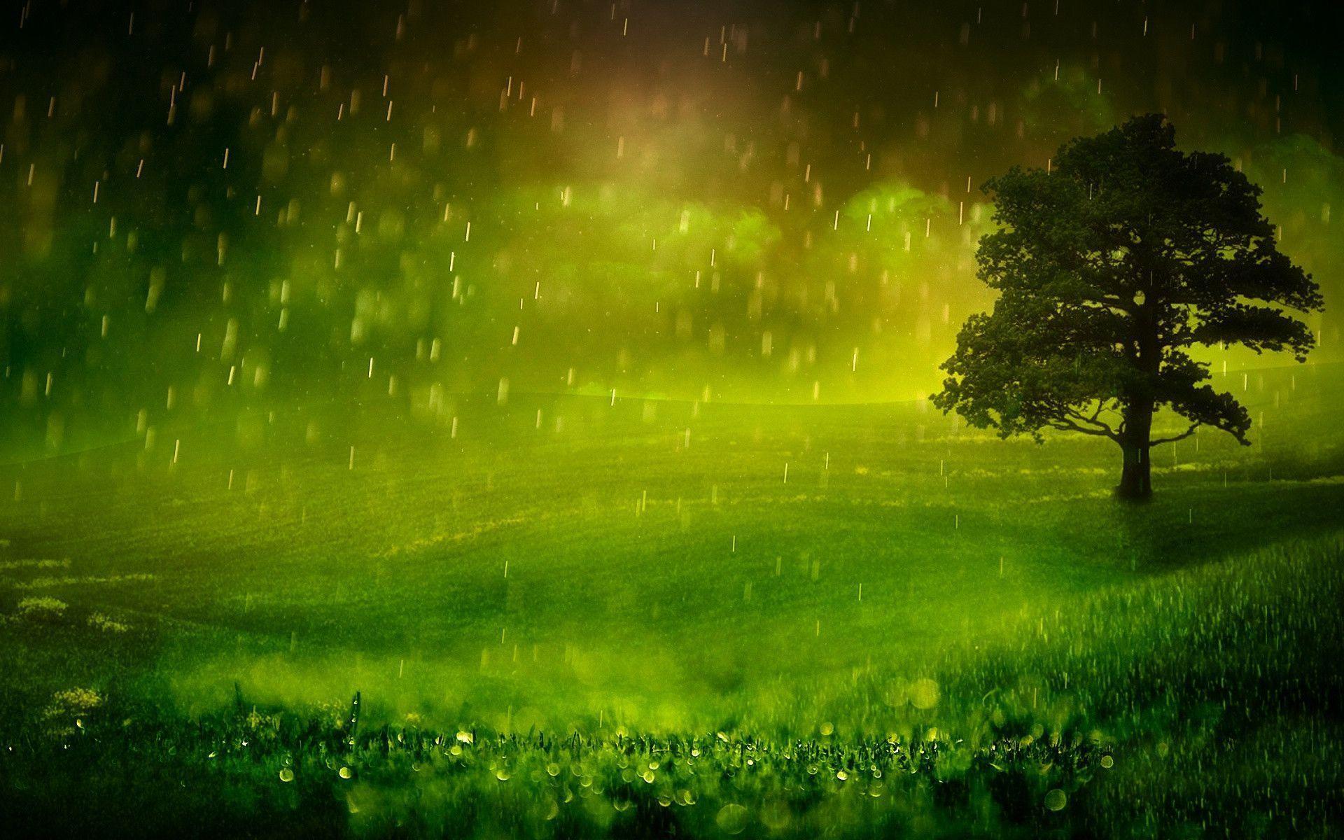 Raining Water Over Green Field Free and Wallpaper
