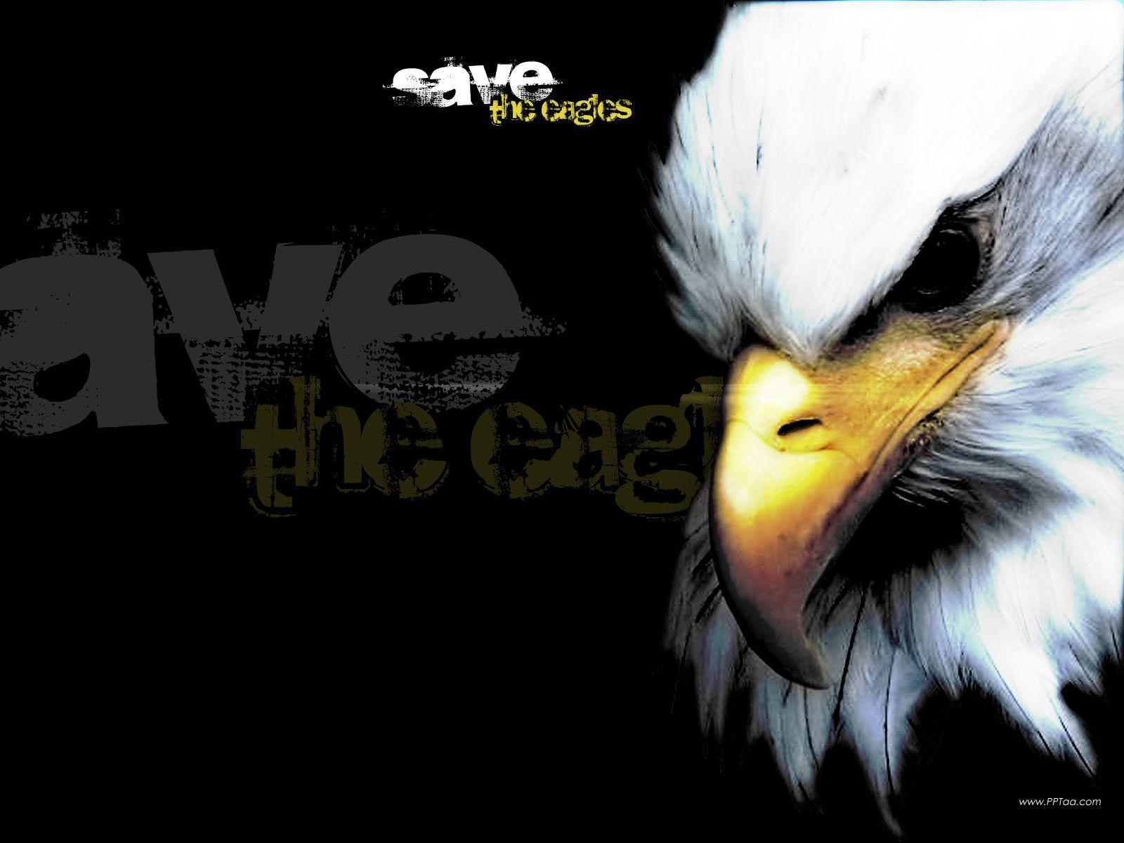 Eagle Background
