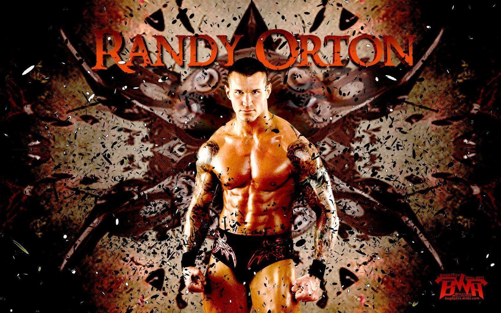 SPORTS, Crazy Fighters of WWE Randy orton & triple H -HD wallpaper