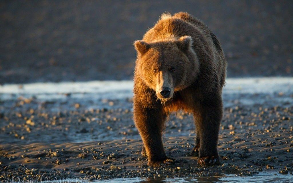 New Desktop Wallpaper HD High Definition. HD