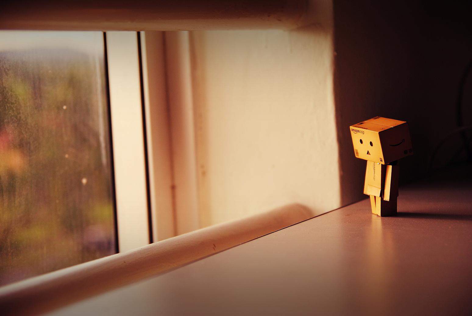 Danbo Sad Love