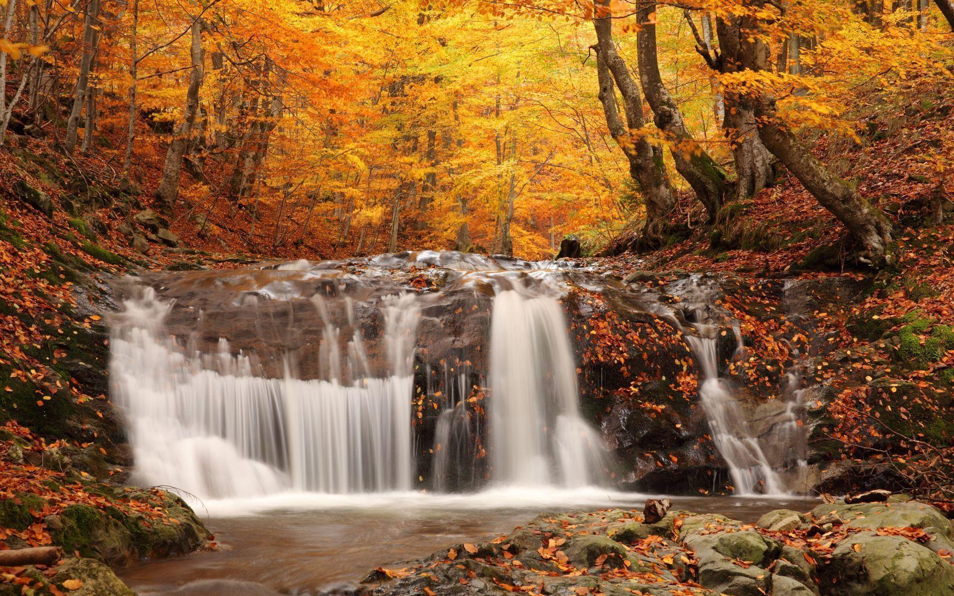 Autumn Forest Waterfall Wallpaper Wide or HD