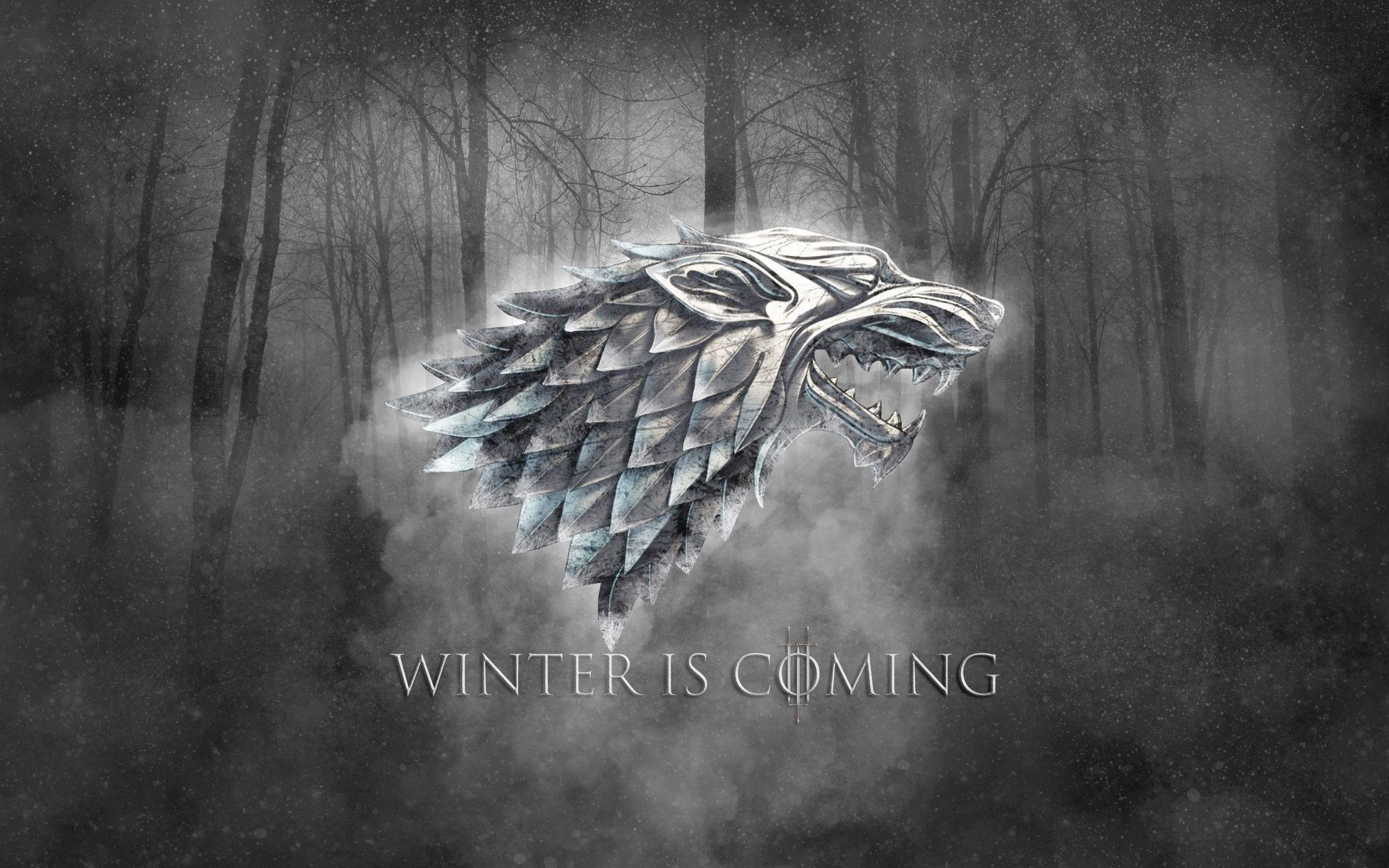 Winter is Coming Stark by bbboz