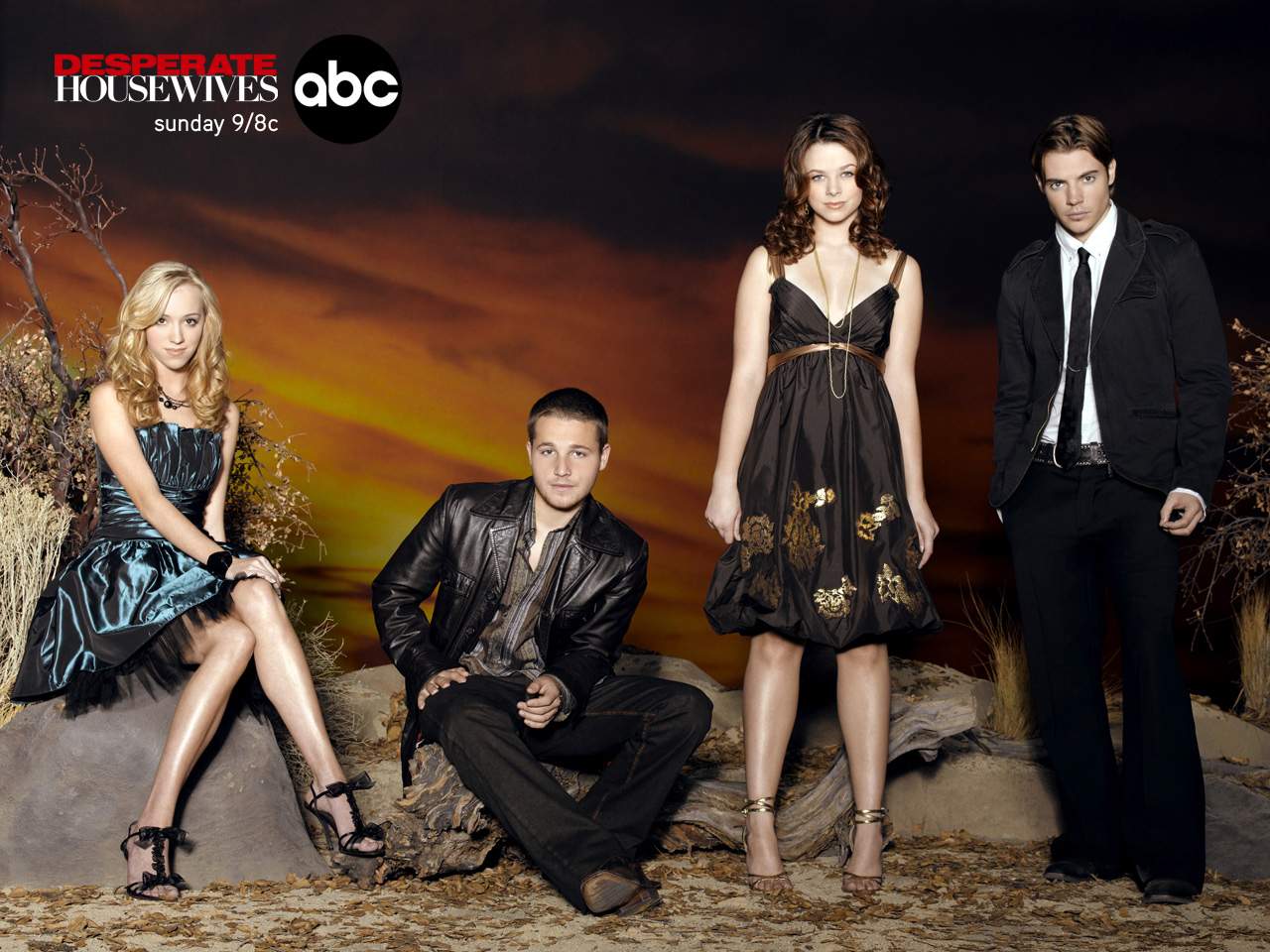 Desperate Housewives cast Housewives Wallpaper 791676