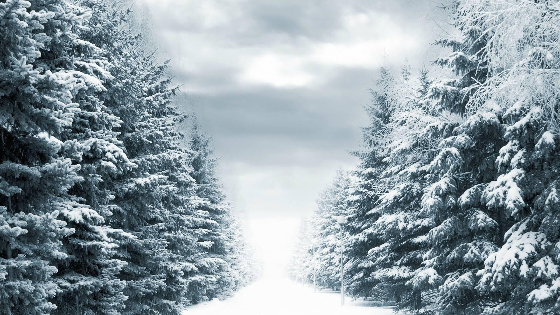 Wallpaper For > Real Snowy Background
