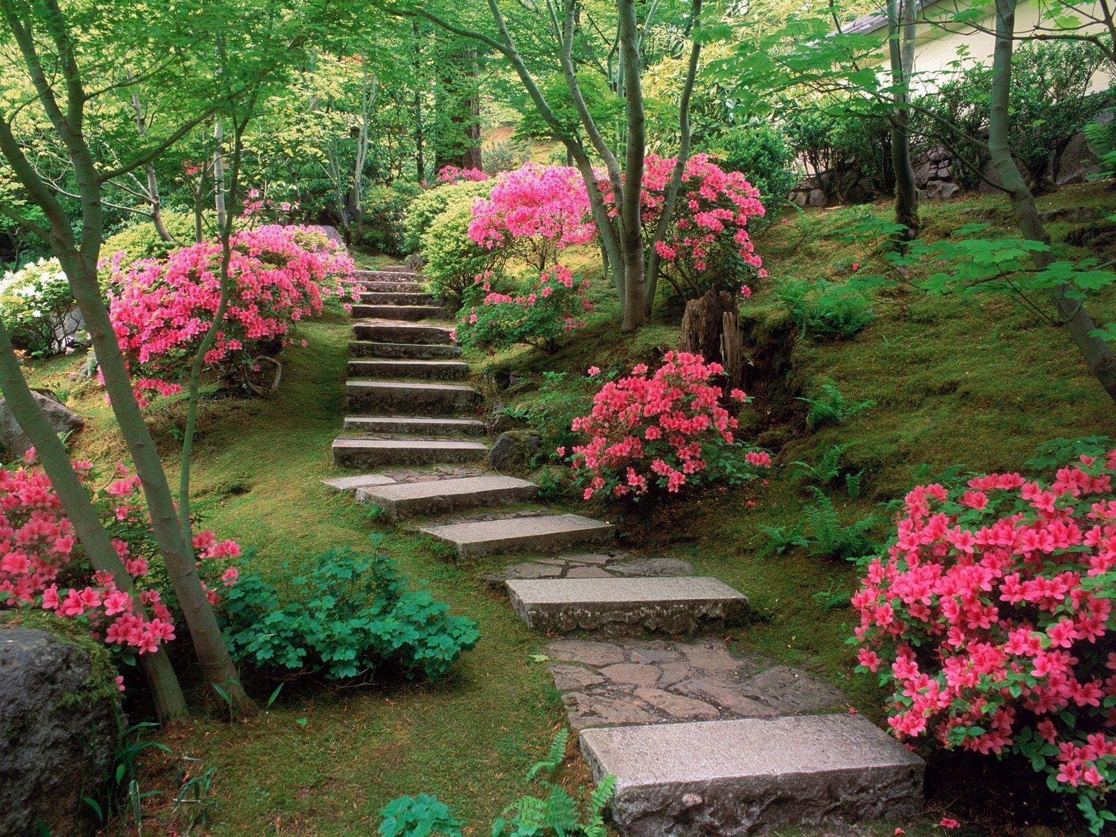 Beautiful Garden Wallpapers  Top Free Beautiful Garden Backgrounds   WallpaperAccess