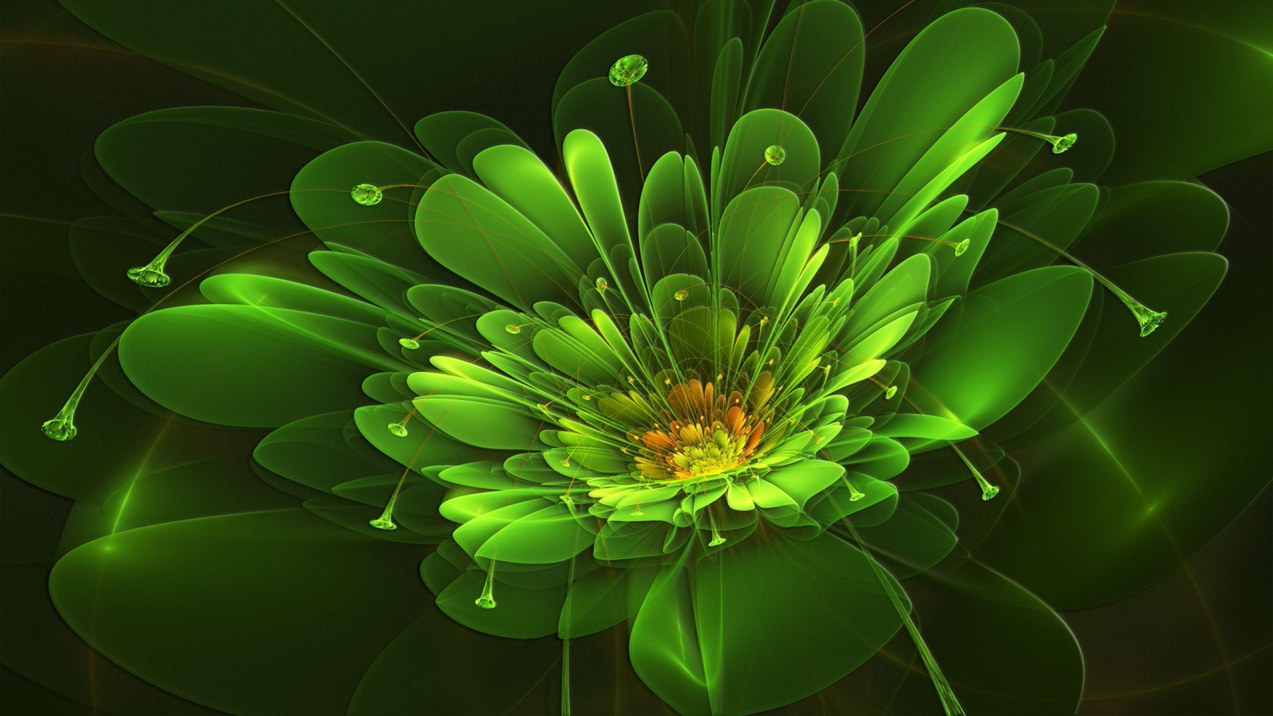 Download Wallpaper 2560x1440 green, flower, background, colorful