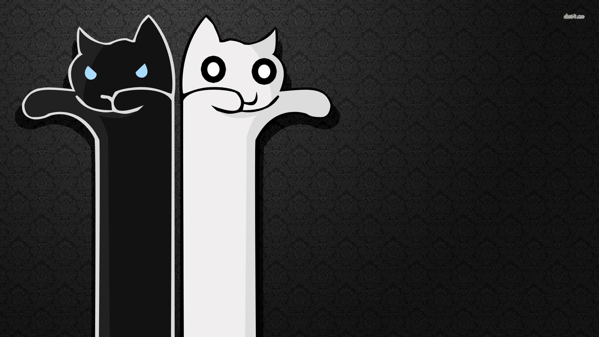 little black and white cats wallpaper