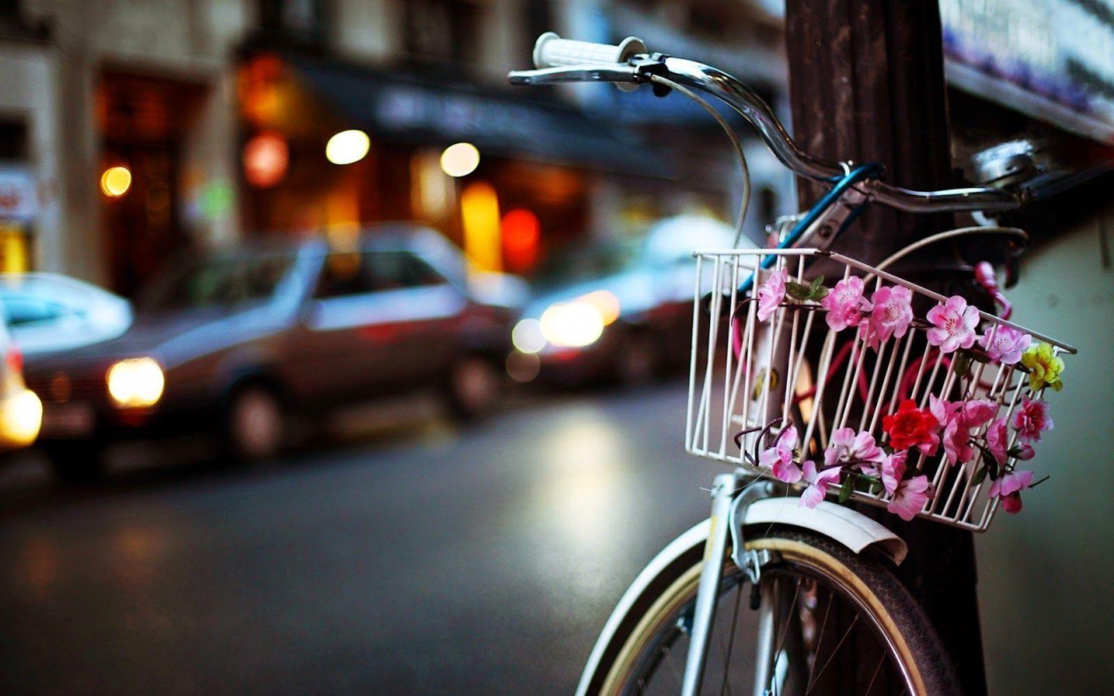 Bicycle With Flower Wallpaper Photo 2014 2015 Charming