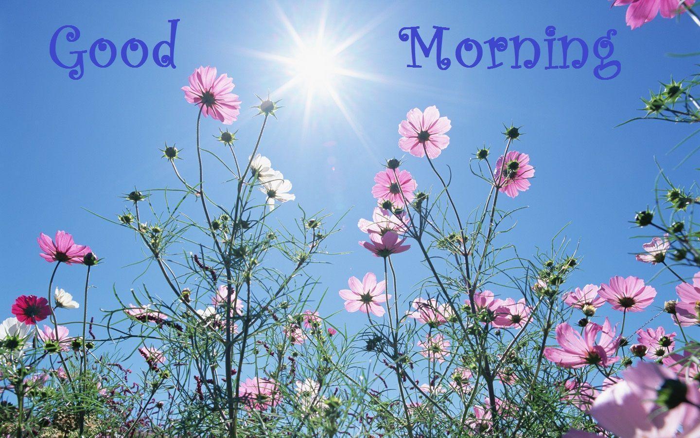 good morning wallpaper with comments Good Morning Image