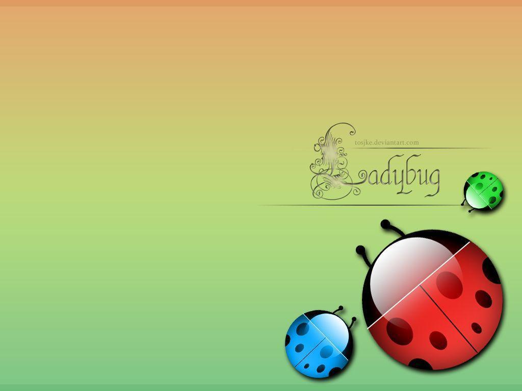 Icon Wallpaper I Ladybug