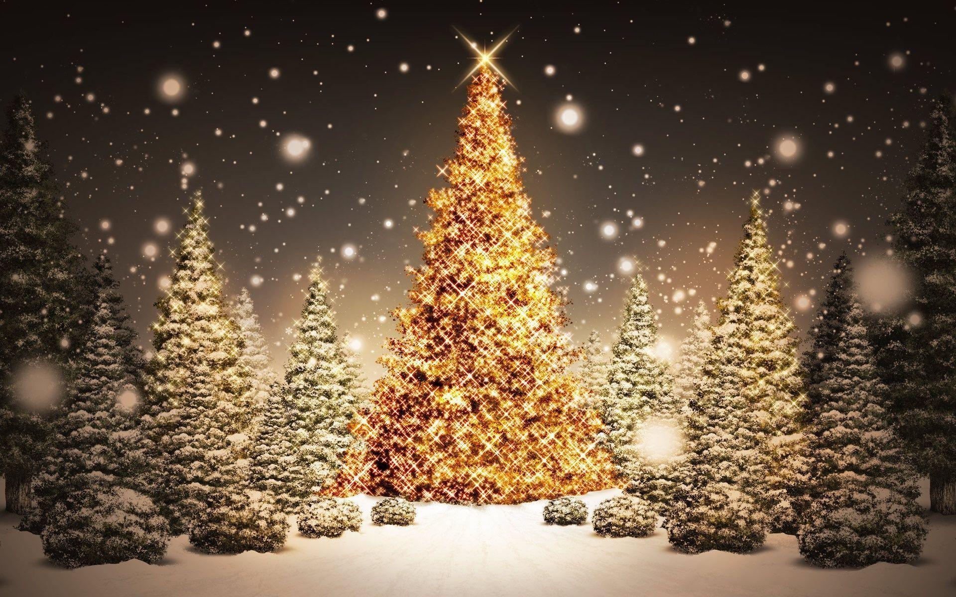 Christmas Snow Trees Wallpaper